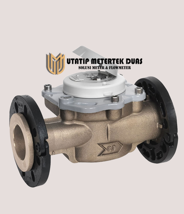 Water Meter Itron Flostar-M 3 Inch DN80